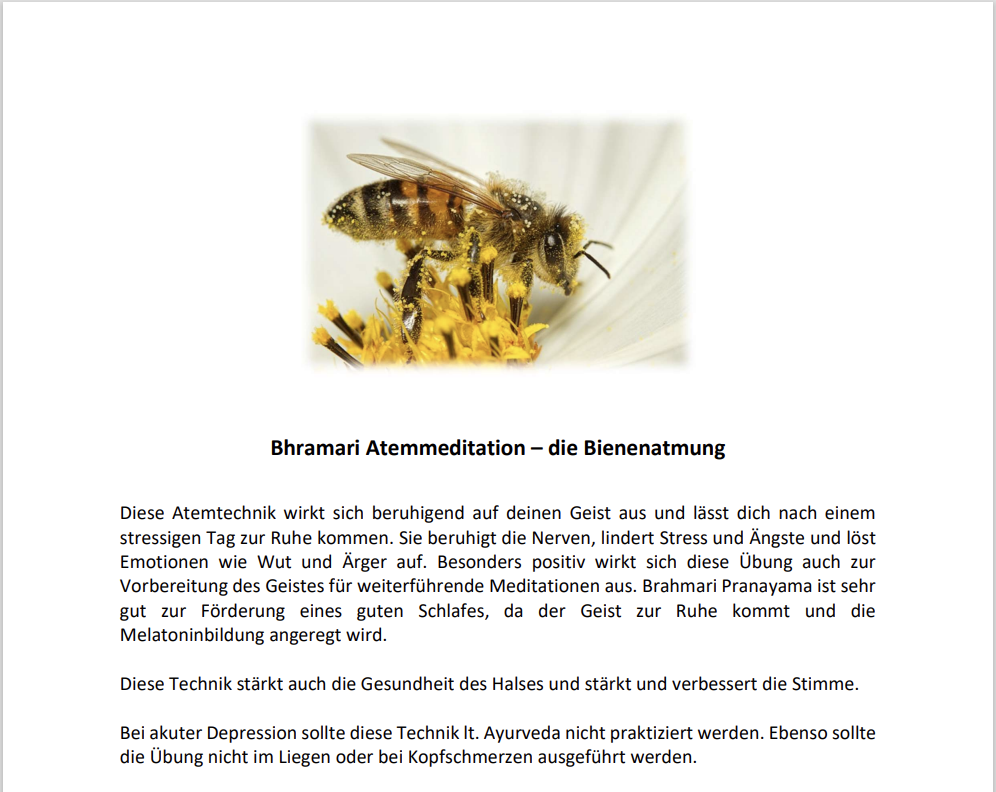 Bild Bhramari Pranayama