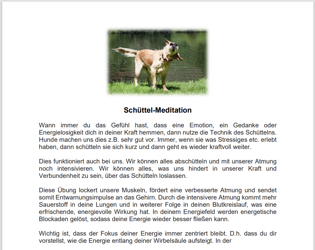 Bild Schüttelmeditation